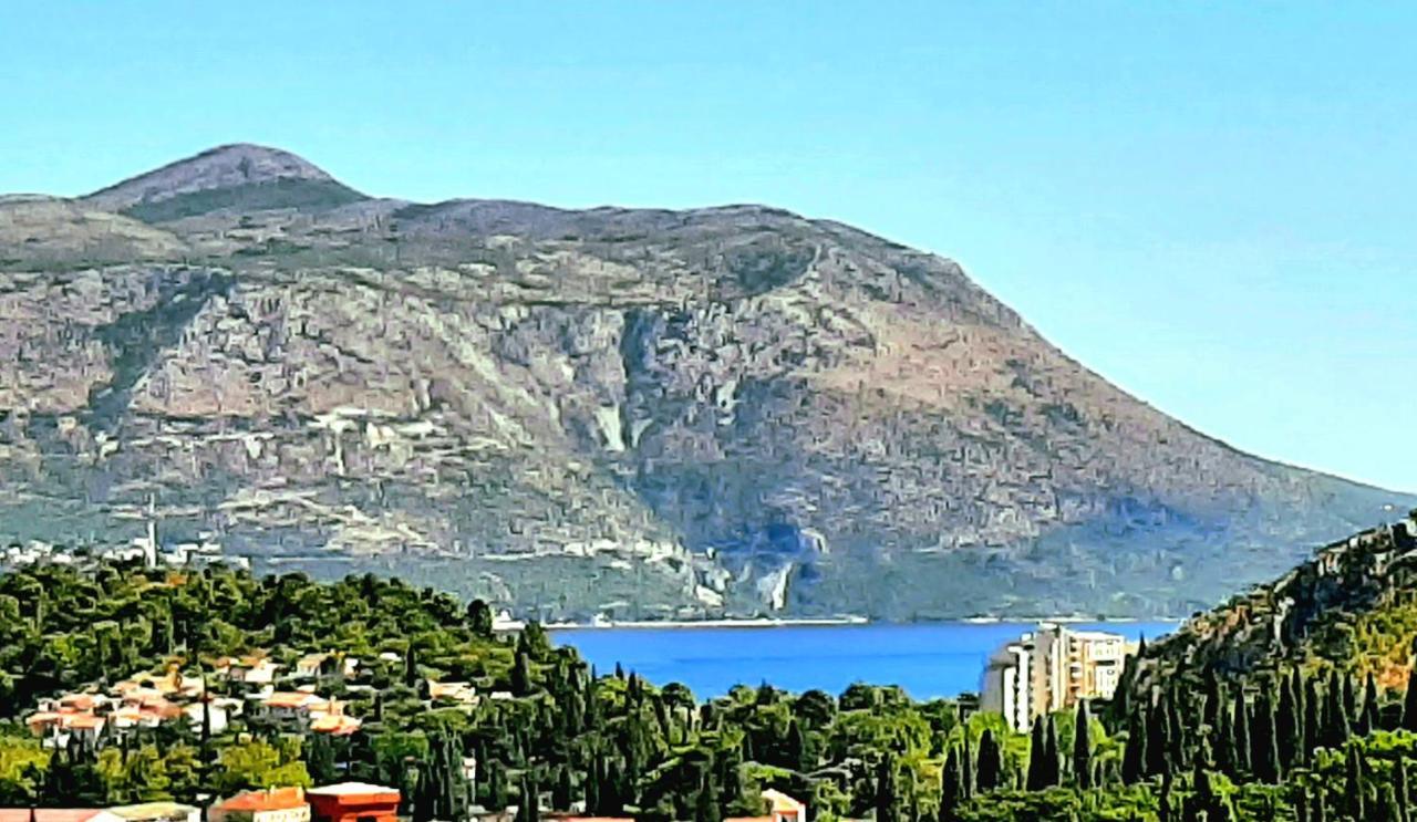 Villa "Amber" Luxury Apartments With A Pool Mlini Εξωτερικό φωτογραφία