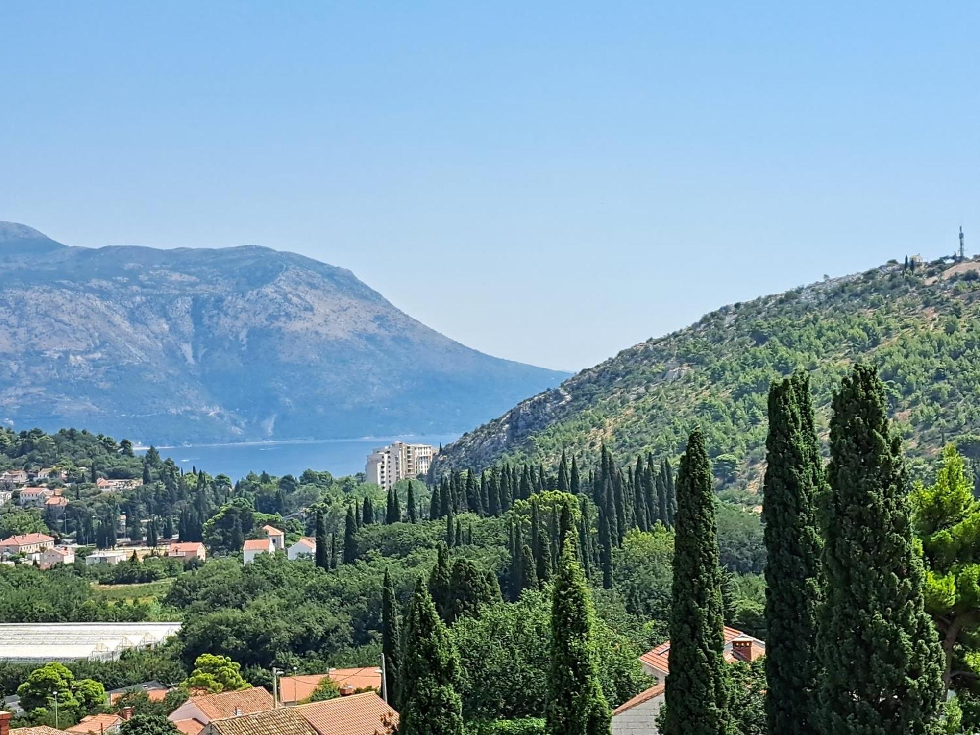 Villa "Amber" Luxury Apartments With A Pool Mlini Εξωτερικό φωτογραφία